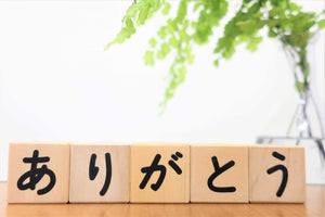 Japanese 101. Beauty Vocabulary. Learn Japanese | Murasaki Cosmetics. J-Beauty Shop Nederland & België