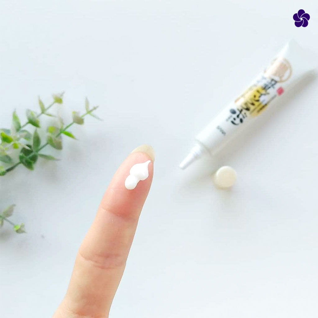 SANA Nameraka Honpo Soy Milk Anti Wrinkle Eye Cream Soy Isaflavone